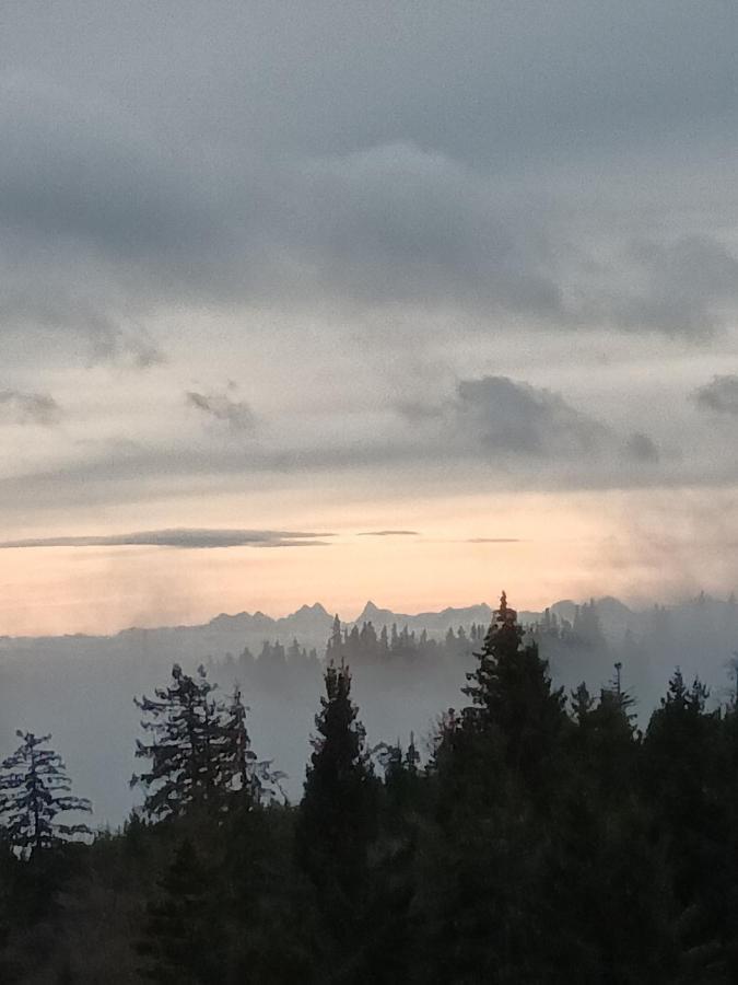 Terre De Sapins - Gites Nature Haut De Gamme Avec Sauna Au Coeur Du Lac Blanc Orbey Esterno foto