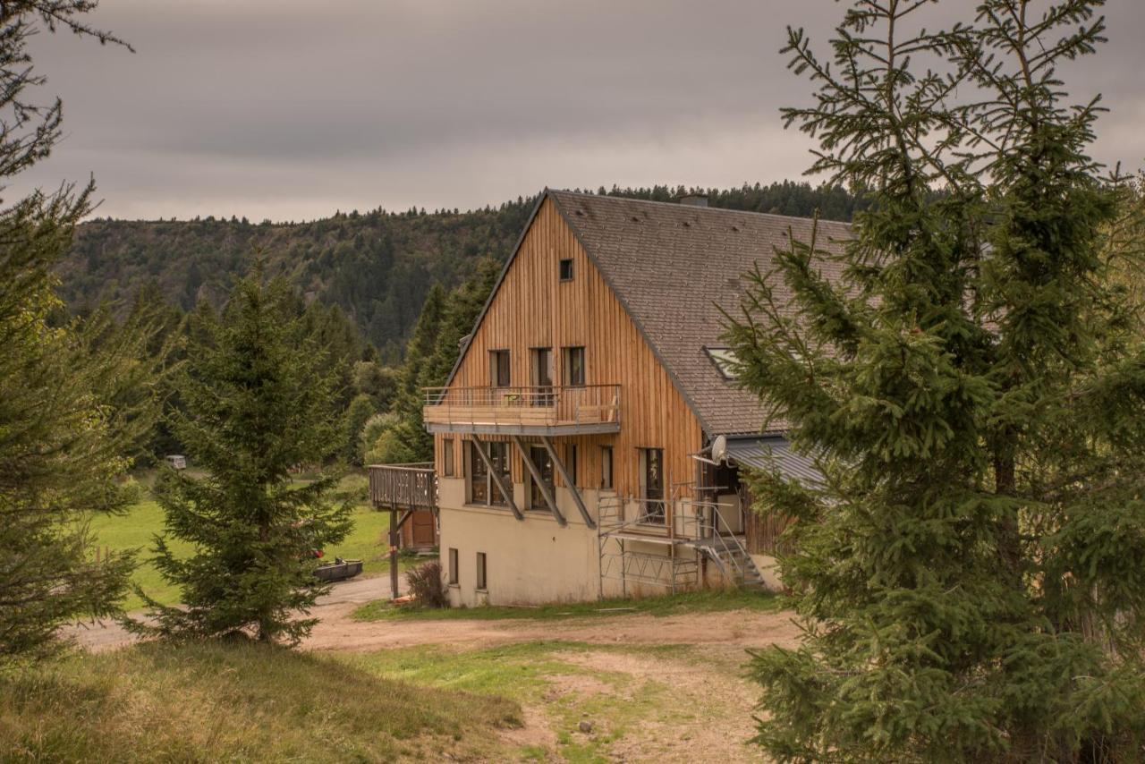 Terre De Sapins - Gites Nature Haut De Gamme Avec Sauna Au Coeur Du Lac Blanc Orbey Esterno foto