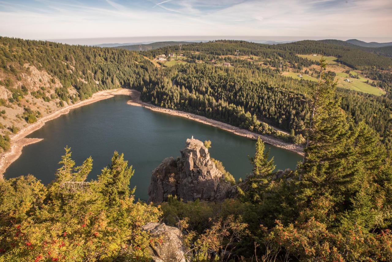 Terre De Sapins - Gites Nature Haut De Gamme Avec Sauna Au Coeur Du Lac Blanc Orbey Esterno foto